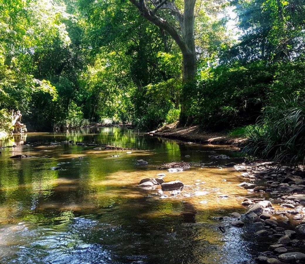 Bindu Homestay ウェラワヤ エクステリア 写真