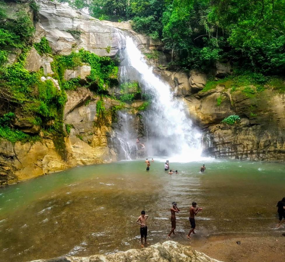 Bindu Homestay ウェラワヤ エクステリア 写真