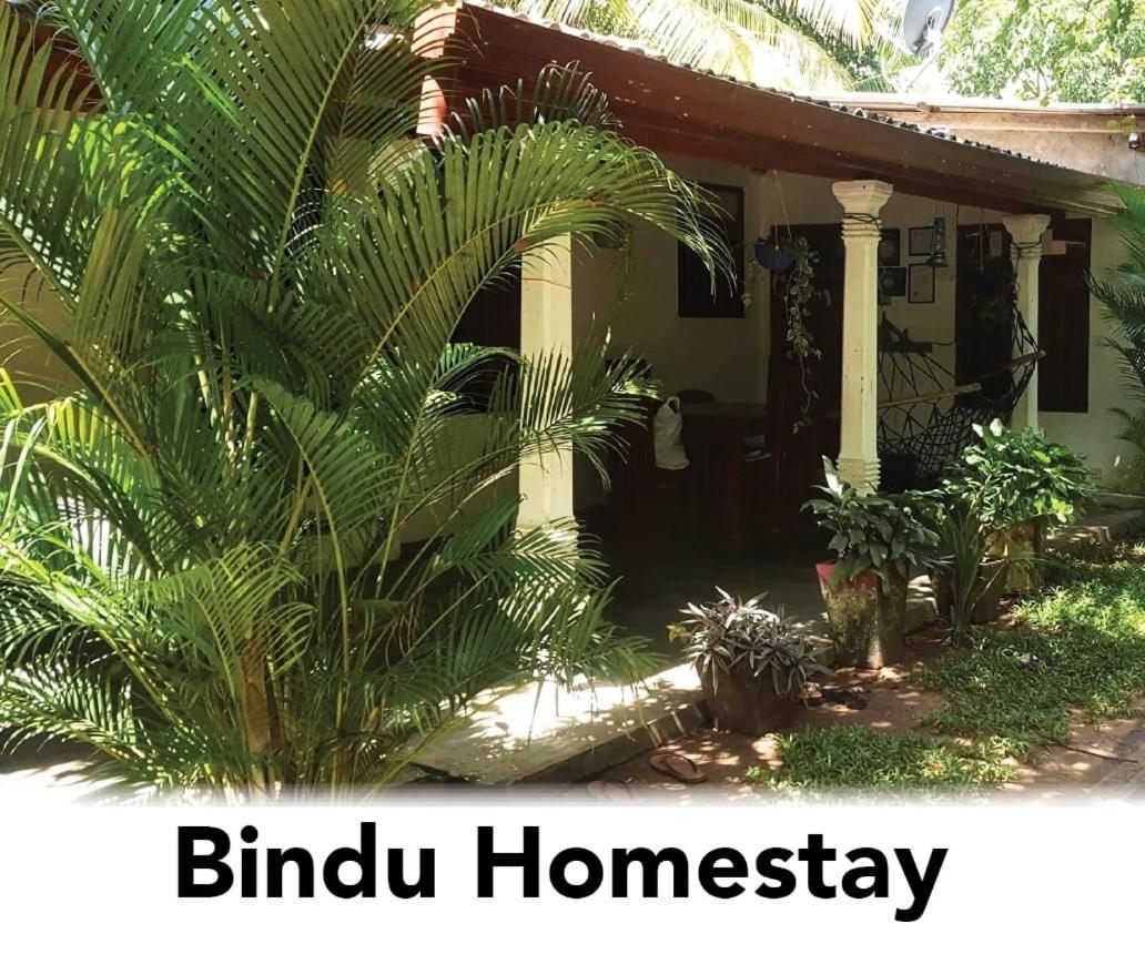 Bindu Homestay ウェラワヤ エクステリア 写真