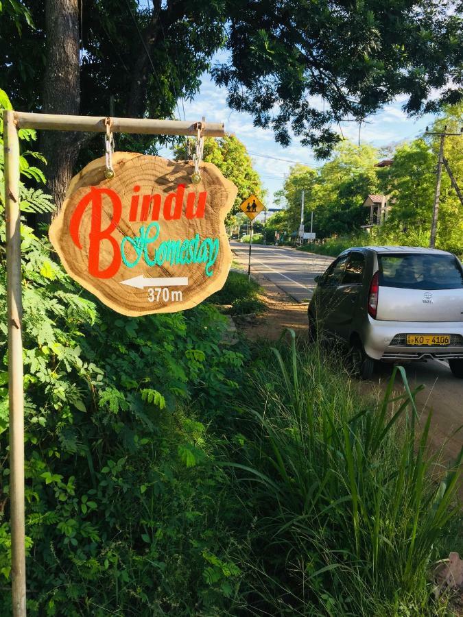 Bindu Homestay ウェラワヤ エクステリア 写真